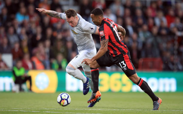 正是这种品 正是这种品